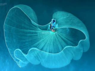 Thuê ngày  căn hộ flc seatower quy nhơn