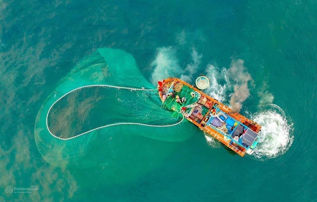 Tms quy nhơn  sống nghỉ dưỡng bên vịnh biển quy nhơn