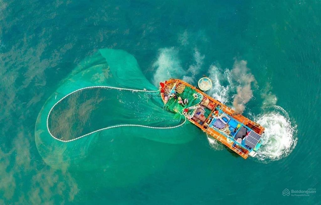 Tms quy nhơn  sống nghỉ dưỡng bên vịnh biển quy nhơn