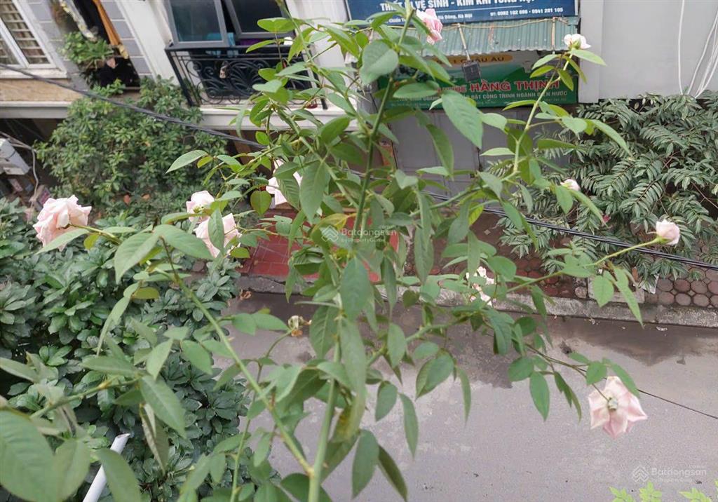 Cho thuê nhà mặt đường rộng, ngõ 241 chiến thắng, 12 triệu, 40m2, 5pn, 1 bếp, 4wc, giá siêu hời