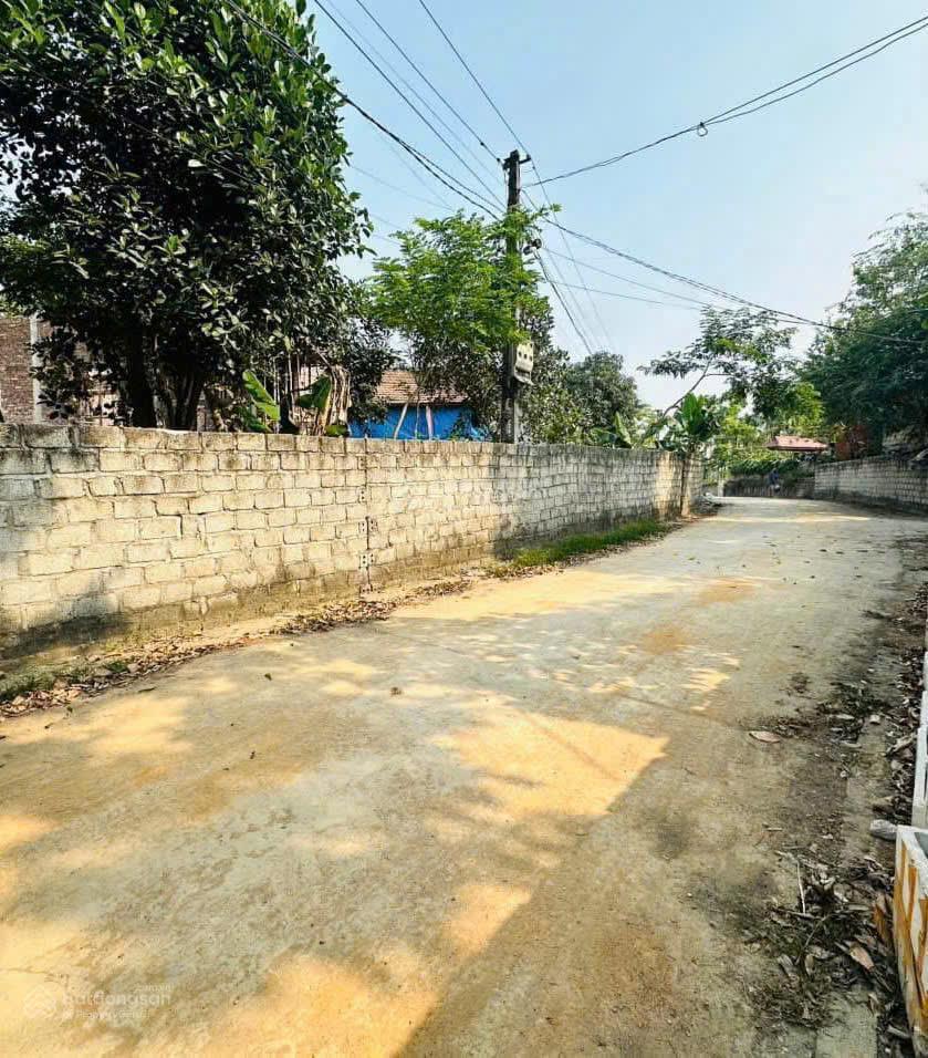 Đầu tư đất lõi vàng huyện đoan hùng