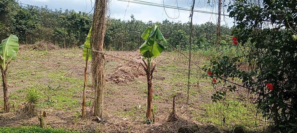 Bán đất làm kho xưởng sát kcn vsip 3 bắc tân uyên
