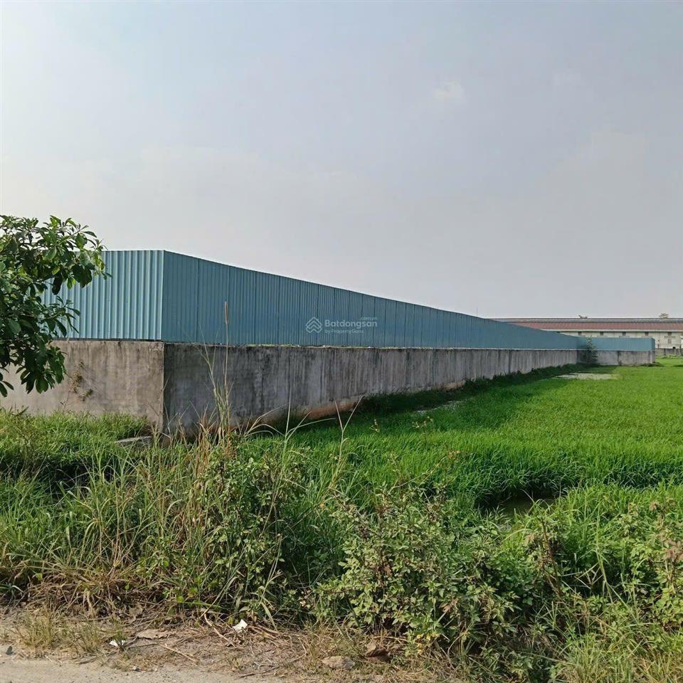 Chủ gửi bán lô đất xây xưởng. giá rẻ