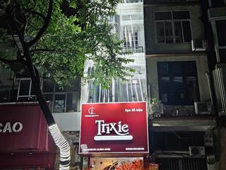 Cho thuê nhà mặt phố số 8 sơn tây, 34m2, giá thỏa thuận, phường ba đình, hà nội