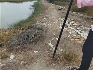 1341m2 đất đường ô tô xã an thới đông