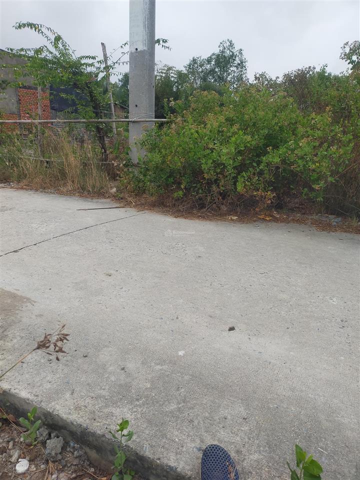 1341m2 đất đường ô tô xã an thới đông  mặt tiền đường bê tông  gần chợ, trường học