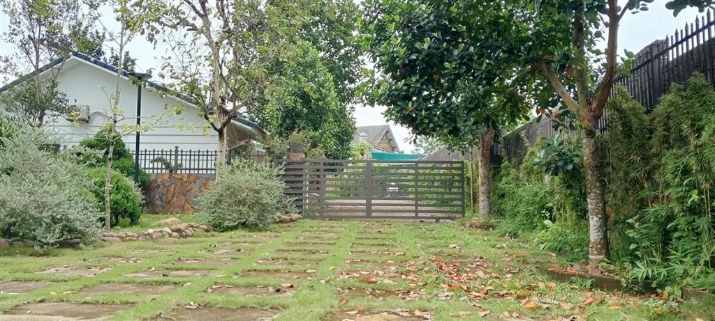 Bán đất bán suối 2.727m² thổ cư 400 m² bán chuối 40 mét tại yên bài hà nội giá đầu tư