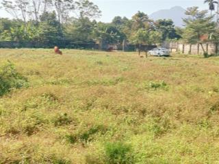 Bán đất bán suối 2.727m thổ cư 400 m bán chuối 40 mét tại yên bài hà nội giá đầu tư .