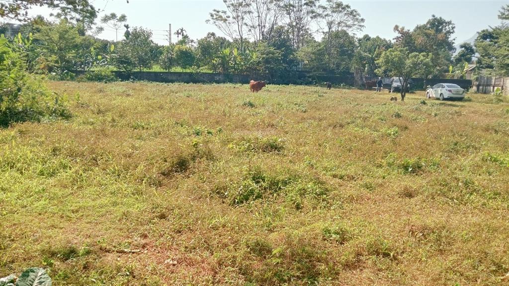 Bán đất bán suối 2.727m² thổ cư 400 m² bán chuối 40 mét tại yên bài hà nội giá đầu tư