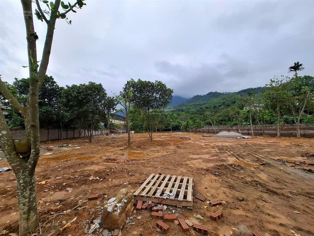 Cần bán lô đất 535 m², 150m2 thổ cư, mặt tiền 11,5 m, giá 3,3 tỷ đất tại yên bài, hà nội