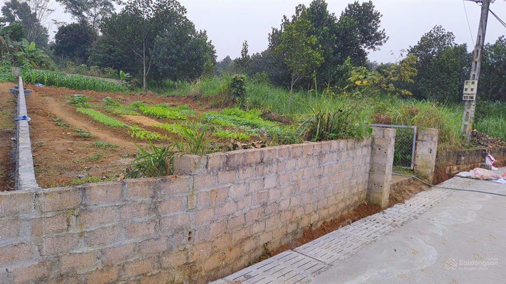 Bán đất yên bài hà nội 354,9m tc 150 m mặt tiền 9,5 m giá 8,2 tr m giá tiềm năng tăng giá cao.