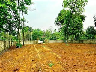 Bán lô đất yên bài hà nội diện tích 720m 162 m thổ cư mặt tiền 20 m giá đầu tư