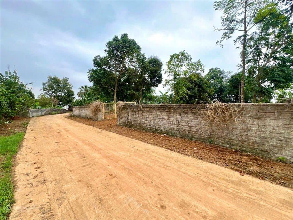 Bán lô đất yên bài hà nội diện tích 720m 162 m thổ cư mặt tiền 20 m giá đầu tư