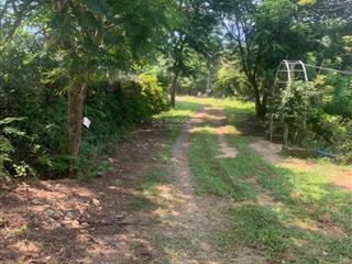 Cần bán trang trại 28.000 m thổ cư 1950 m giá bán 6,7 tr m tiềm năng tăng giá cao