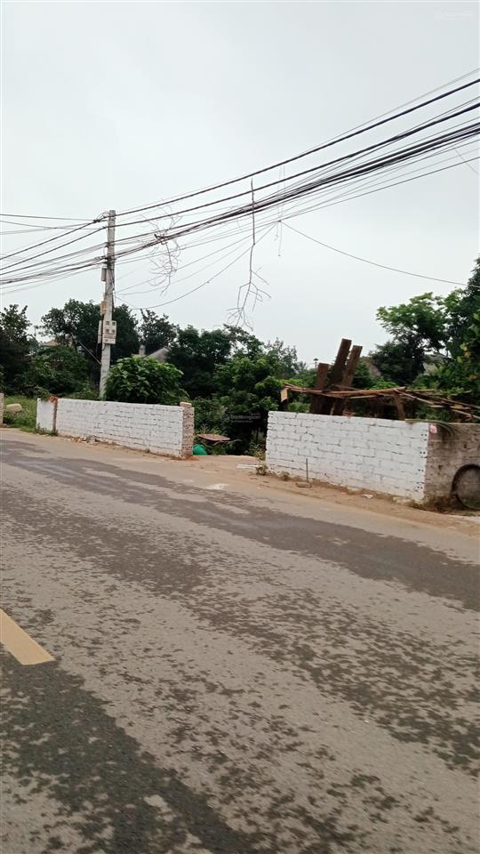 Bạn cấp lô đất trục chính ao vua xã suối hai, hà nội, diện tích 673 m, thổ cư 200 m,