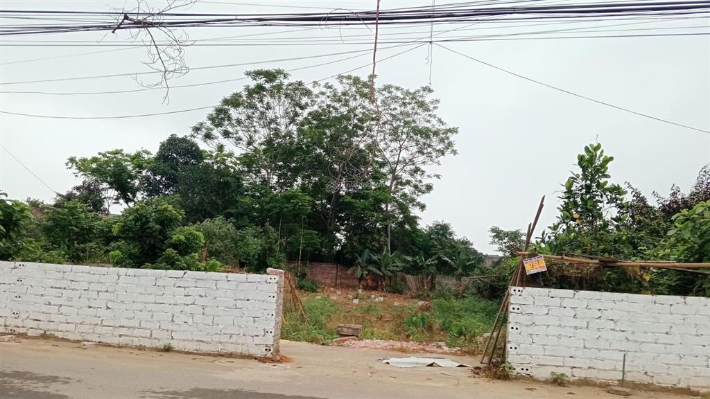 Bạn cấp lô đất trục chính ao vua xã suối hai, hà nội, diện tích 673 m, thổ cư 200 m,