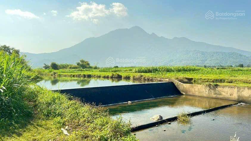 Bán nhanh lô đất 468 m thổ cư 100 m mặt tiền 41 m lg hai mặt tiền tại xã yên bài hà nội giá 4,3 tỷ