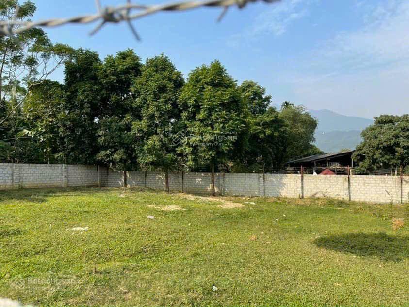 Bán nhanh lô đất 468 m thổ cư 100 m mặt tiền 41 m lg hai mặt tiền tại xã yên bài hà nội giá 4,3 tỷ