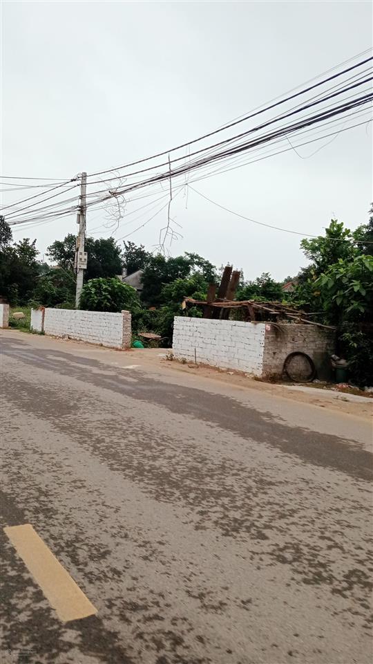 Bán nhanh lô đất 556 m thổ cư 100 m mặt tiền 14 m tại xã ba trại nay là xã suối hai giá 7,2 tỷ