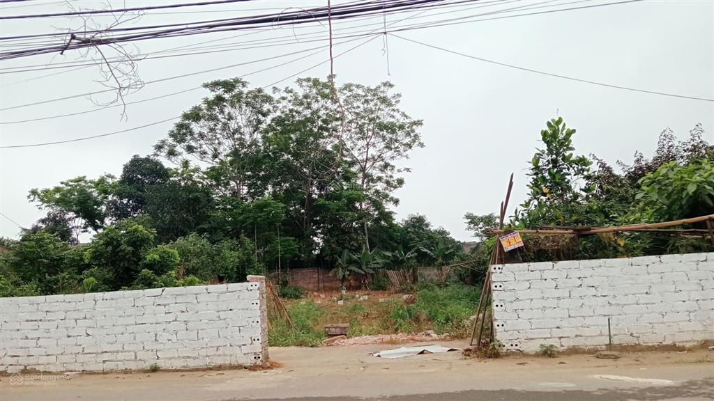 Bán nhanh lô đất 556 m thổ cư 100 m mặt tiền 14 m tại xã ba trại nay là xã suối hai giá 7,2 tỷ