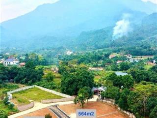 Bán lô đất hai mặt tiền tại xã yên bài hà nội đt 564 m thổ cư 150 m mặt tiền 50 m giá 4,6 tỷ.