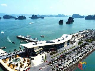 Căn studio 1,6 tỷ thiết kế "đo ni đóng giầy" cho khách đầu tư, hiệu suất thuê tốt, dễ thanh khoản