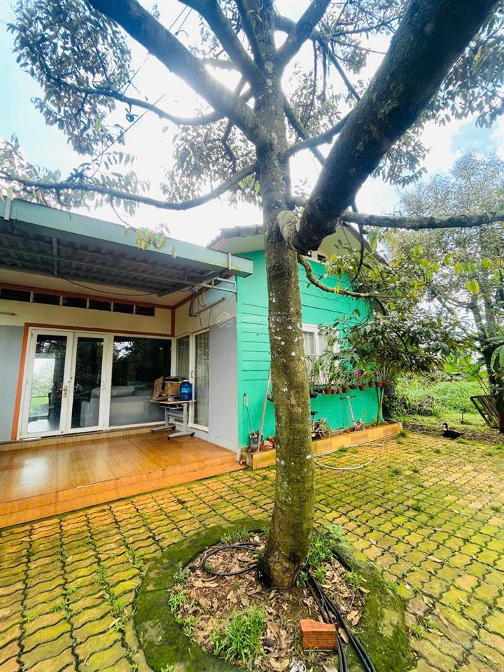 Cần bán gấp hơn 7000m2 nhà vườn nghỉ dưỡng tại phường hàng gòn, long khánh