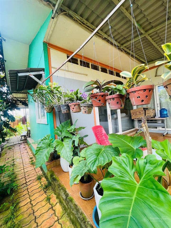 Cần bán gấp hơn 7000m2 nhà vườn nghỉ dưỡng tại phường hàng gòn, long khánh