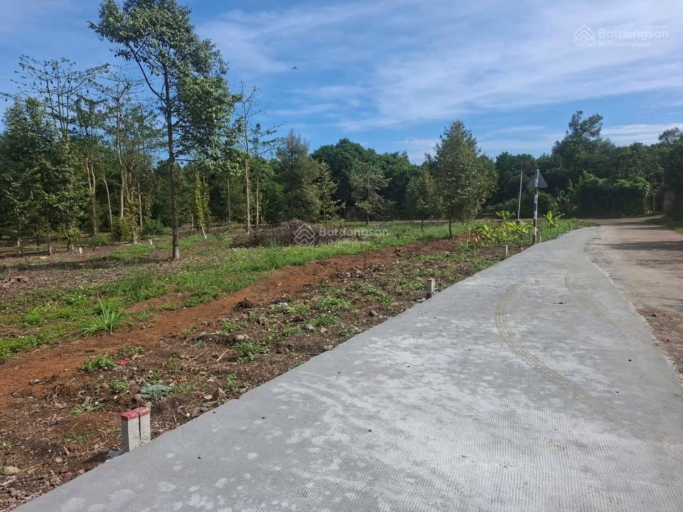 Đất long khánh, giá cực rẻ, diện tích siêu rộng, đất phường bình lộc, đồng nai