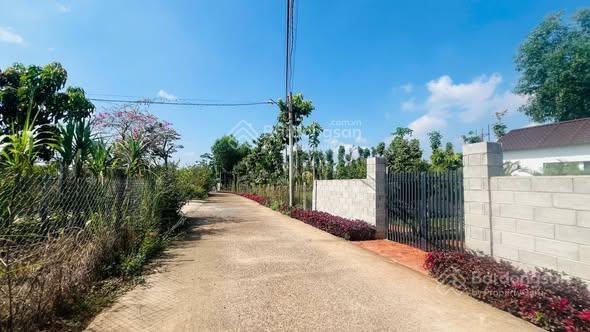 Đất đồng nai, view núi chứa chan, chủ cần bán gấp về quê