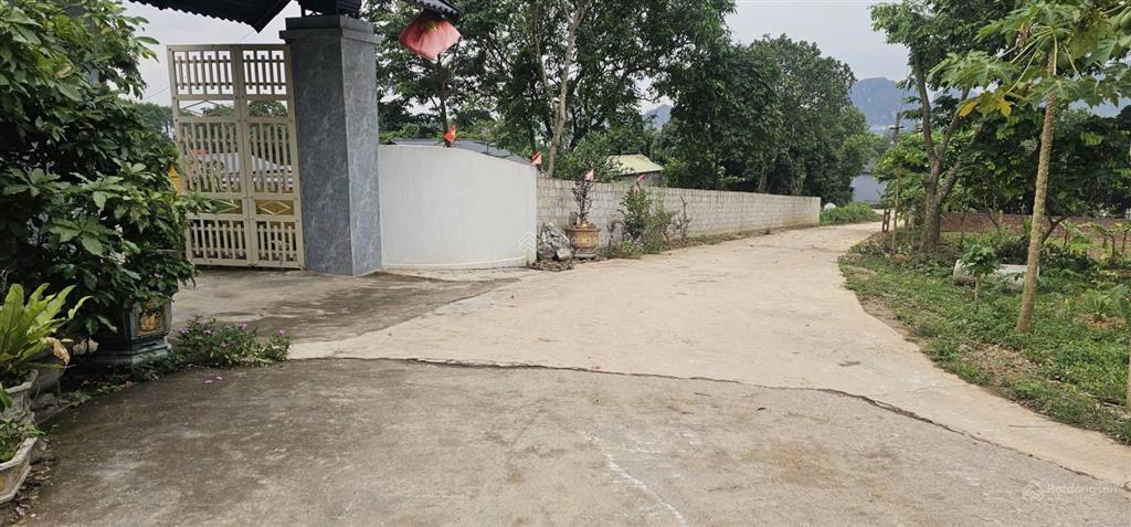 Bán gấp đất tại liên sơn, 6,3 tỷ, 1474 m2