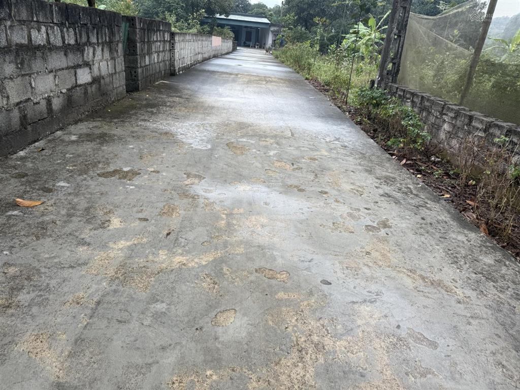 Bán đất 121m2 tại an phú, mỹ đức, hà nội, 980 triệu