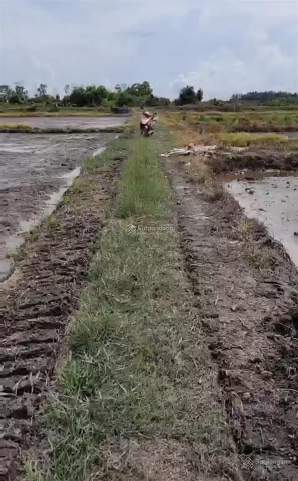 Bán đất 3900m2, giá 20 tỷ, đường tân hiệp 13, xã tân hiệp, huyện hóc môn, tp.hcm