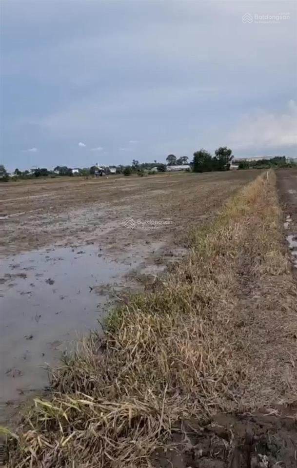 Bán đất 3900m2, giá 20 tỷ, đường tân hiệp 13, xã tân hiệp, huyện hóc môn, tp.hcm