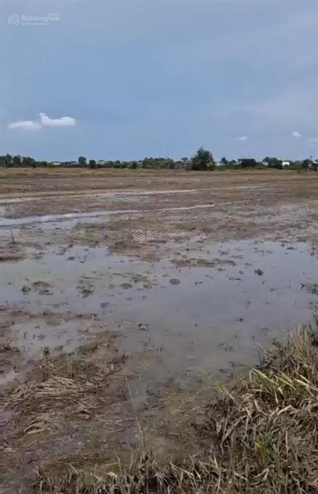 Bán đất 3900m2, giá 20 tỷ, đường tân hiệp 13, xã tân hiệp, huyện hóc môn, tp.hcm
