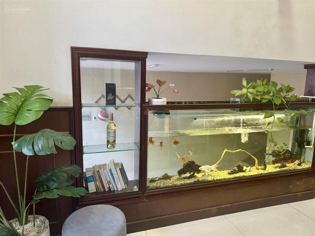 Bán biệt thự mặt tiền lê thúc hoạch tân phú 164.5m2 ngang 8m vuông vức, đang cho thuê 30tr/th, 30tỷ