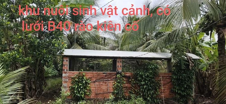 SIÊU PHẨM 9.200M² ĐẤT VƯỜN – MẶT TIỀN 94M – SẴN KHU NGHỈ DƯỠNG MINI – CHỈ 3,2 TỶ!