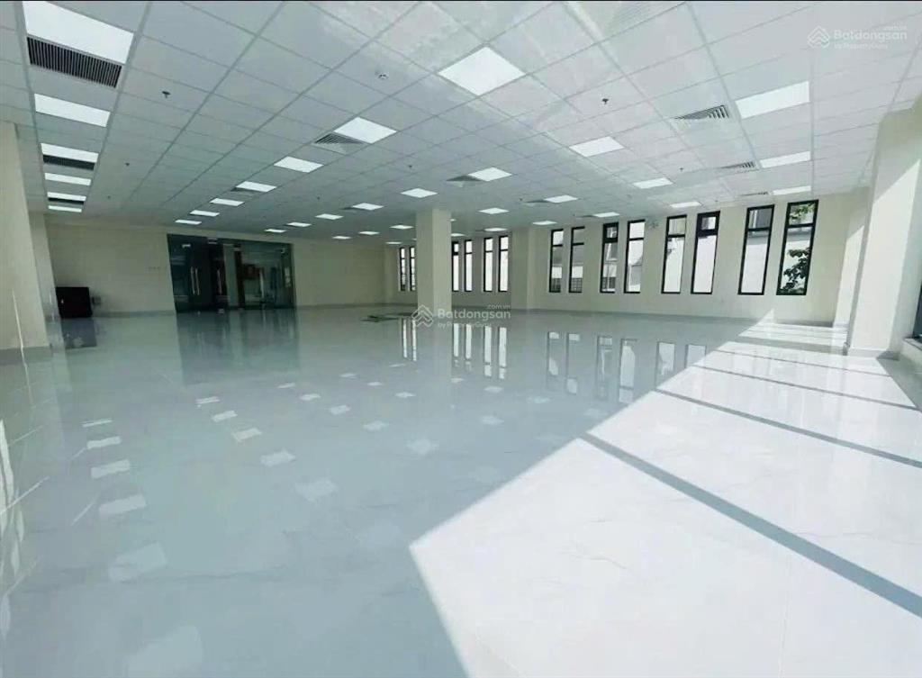 Tòa nhà mới xây khu tân định quận 1 | dtsd 2.500m | 2 hầm 6 tầng