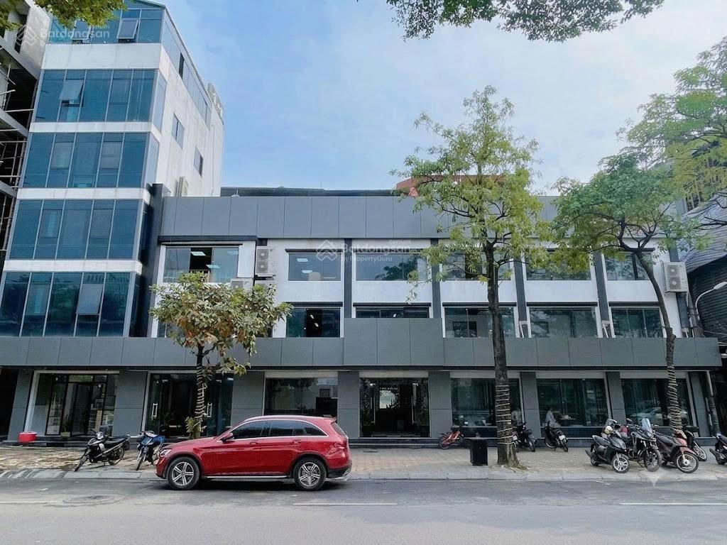 Mặt tiền kinh doanh sang trọng mặt bằng siêu đẹp, hiện đạidiện tích 20x20m giá  200 triệu/tháng