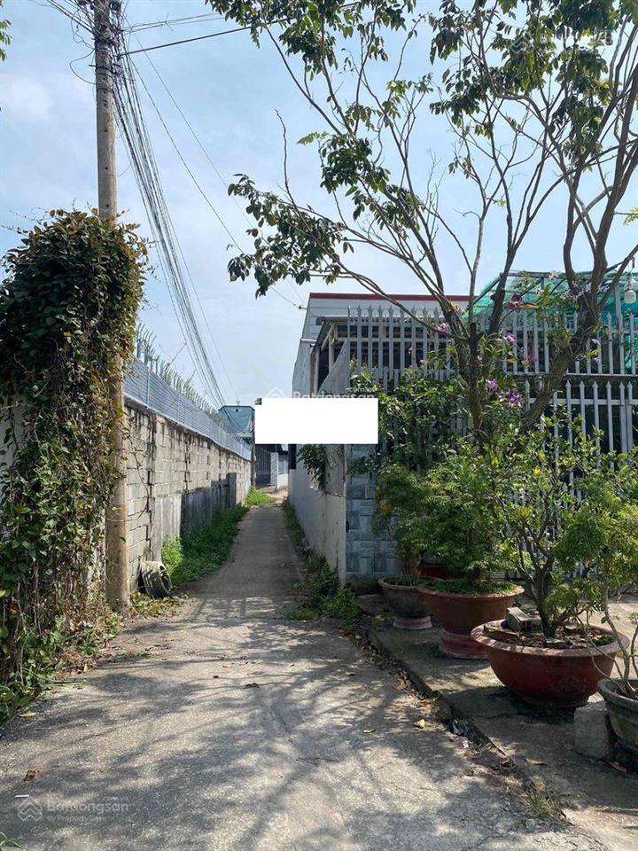 Săn đất vườn giữa lòng phố  tài chính chỉ 650 triệu