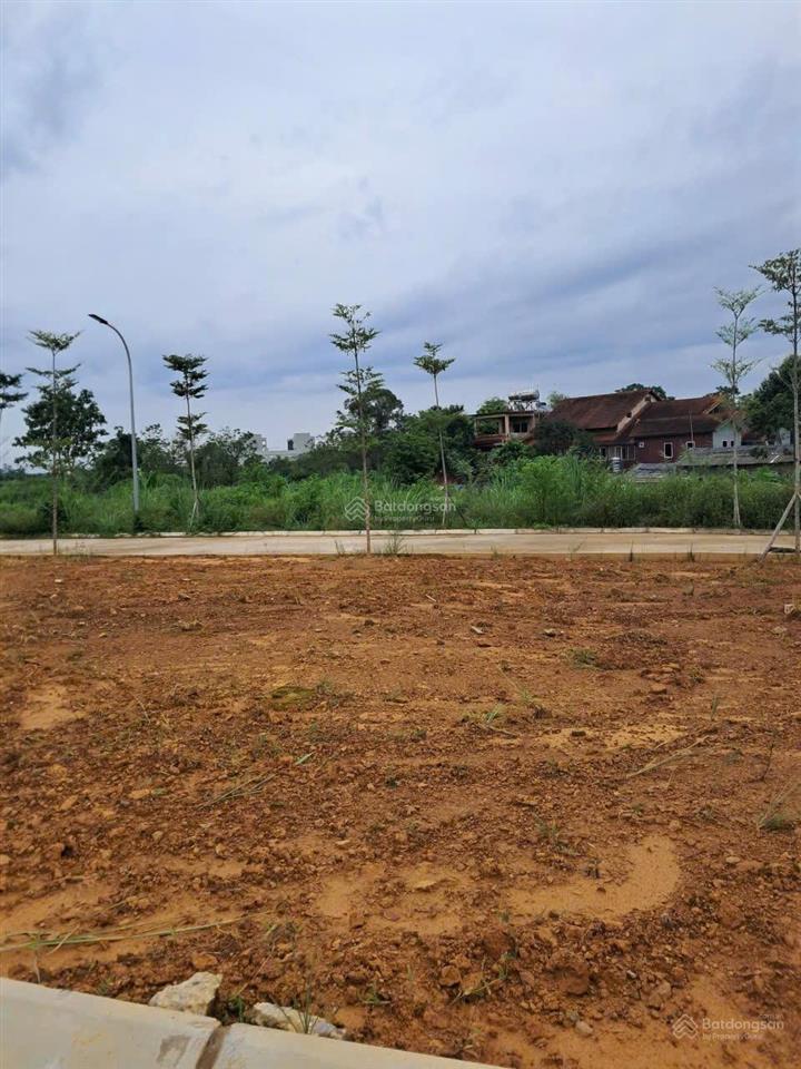 Siêu phẩm thôn miễu  chỉ còn vài lô  dt 150m, 6m mặt tiền  đường rộng 8m ô tô tránh  nhỉnh 8 tỷ