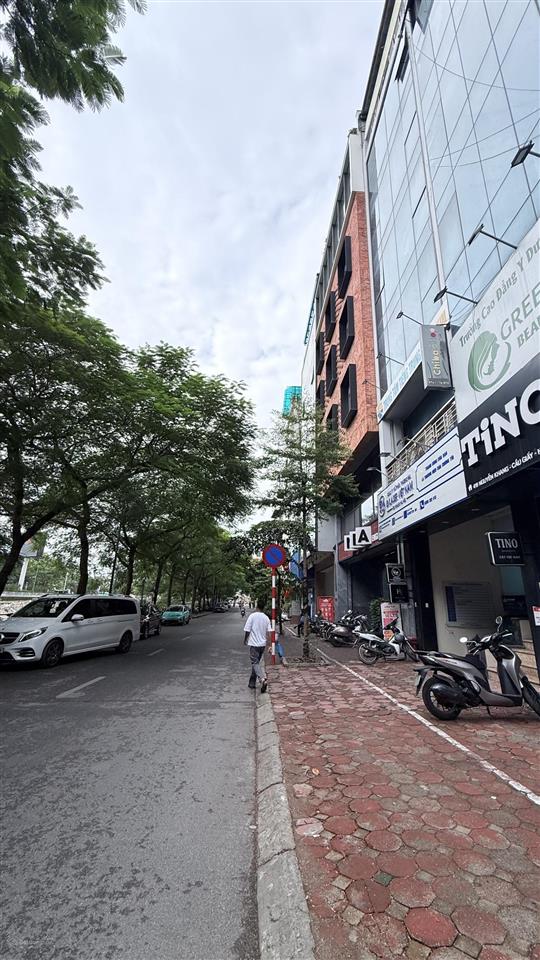 Nguyễn khang. mặt ngõ kinh doanh văn phòng, spa  ô tô ngủ trong nhà  8 tầng x 56m  nhỉnh 25 tỷ