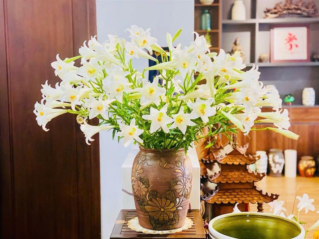 Bán nhanh chcc iris garden 30 trần hữu dực 135m2 3pn 2vs full nội thất giá sốc chỉ 8,8 tỷ