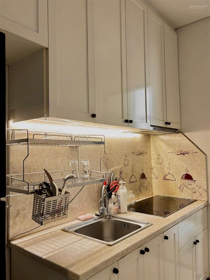 Chủ cần cho thuê căn hộ 2 pn, full nội thất đẹp, cao cấp 87m2, tại hà đô centrosa q10 giá 23 triệu