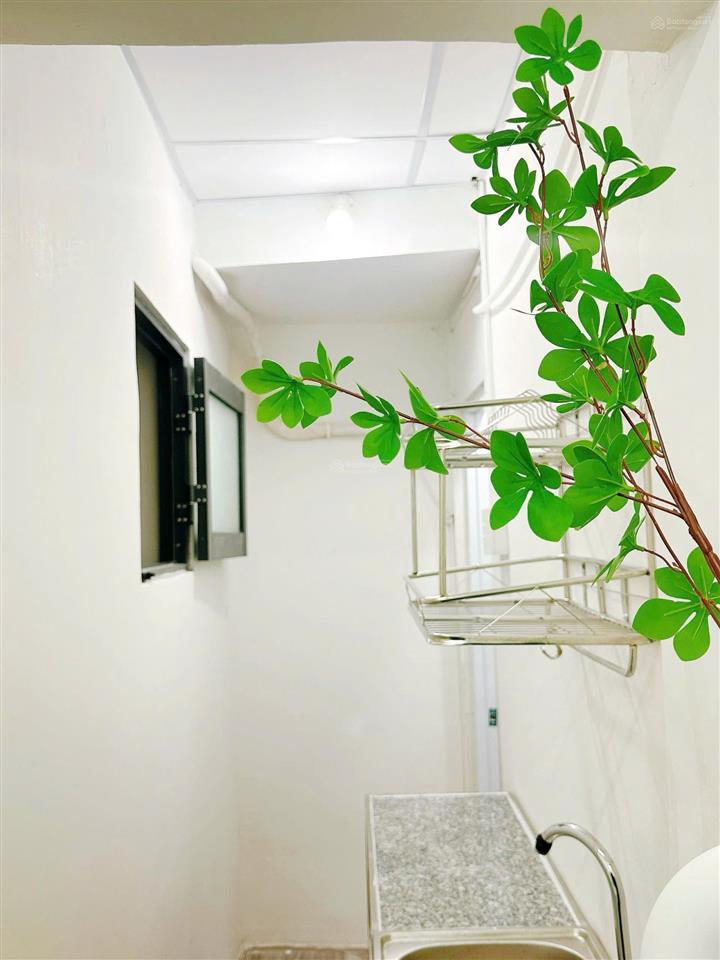 Cho thuê nhà trọ đẹp xuất sắc tại trần quang diệu, 4,2 triệu, 20m2