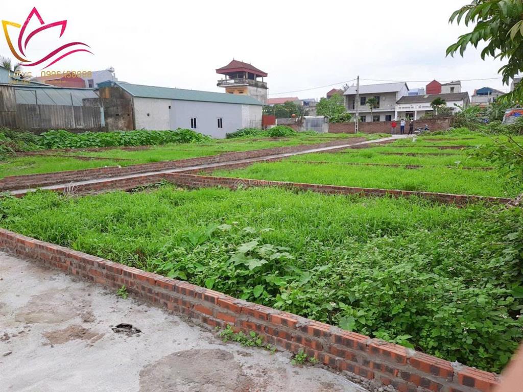 Chính chủ bán đất ô tô vào thôn bến trung, xã bắc hồng, đông anh, hà nội