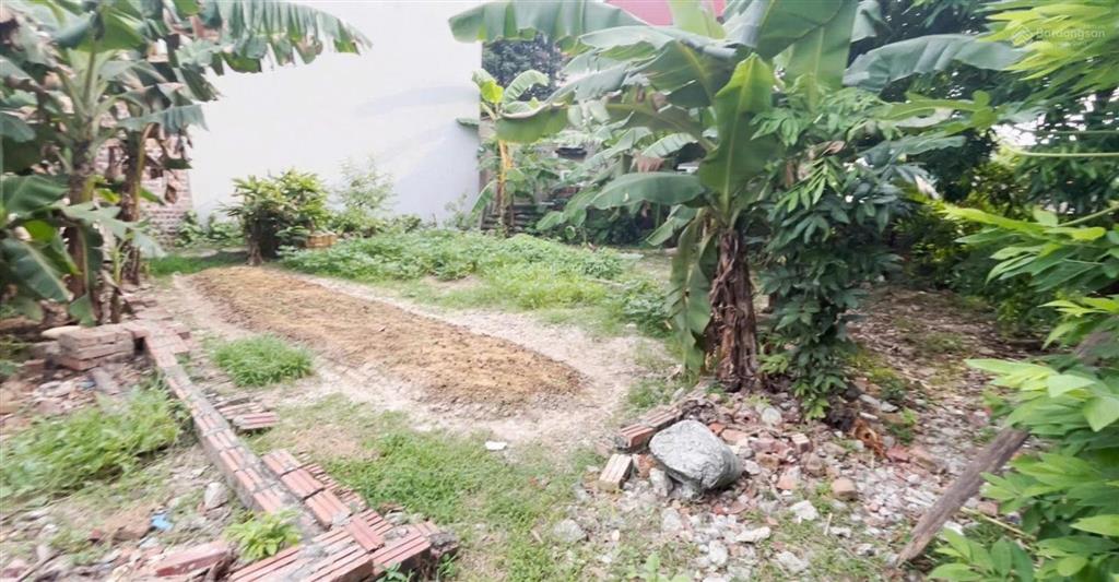 Bán đất thôn khê nữ nguyên khê đông anh, hà nội