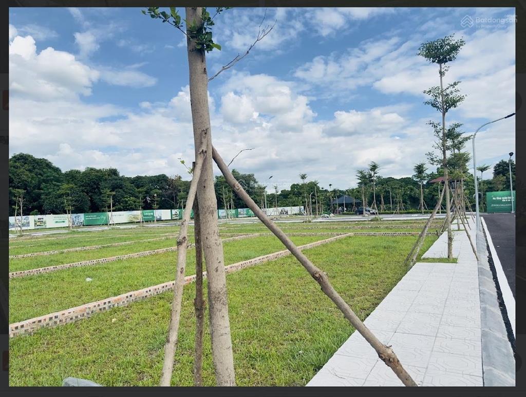 Cần bán giá rẻ hơn thị trường, cần tiền làm việc gấp. có thương lượng