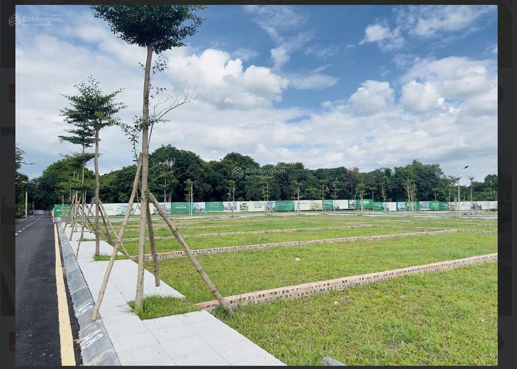 Cần bán giá rẻ hơn thị trường, cần tiền làm việc gấp. có thương lượng