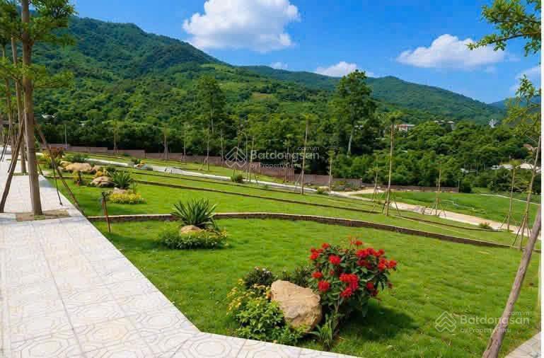 Hàng hiếm đất nghỉ dưỡng phú cát chính chủ cần bán gấp giá cực kỳ hấp dẫn chỉ 18tr/m